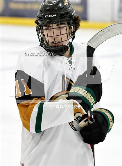 Thumbnail 3 in D1 Chaparral @ D1 Campo Verde photogallery.
