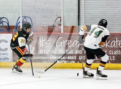 Thumbnail 3 in D1 Chaparral @ D1 Campo Verde photogallery.
