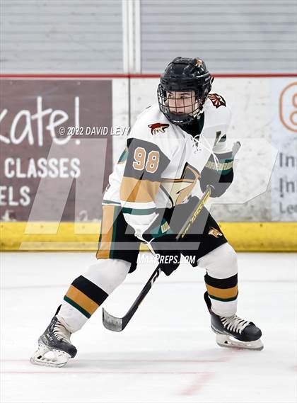 Thumbnail 3 in D1 Chaparral @ D1 Campo Verde photogallery.