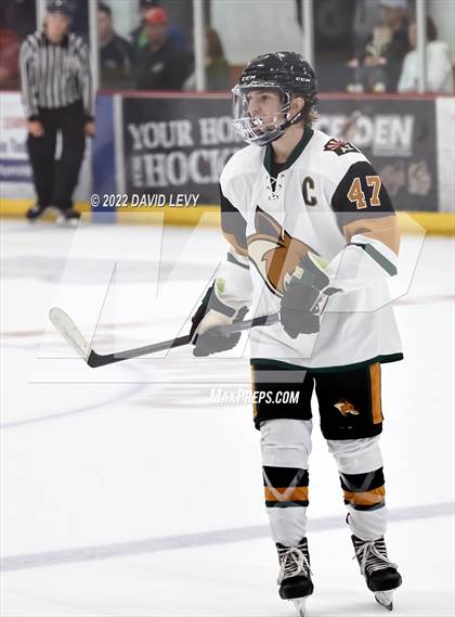 Thumbnail 1 in D1 Chaparral @ D1 Campo Verde photogallery.