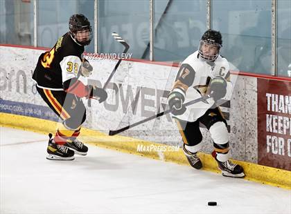 Thumbnail 3 in D1 Chaparral @ D1 Campo Verde photogallery.