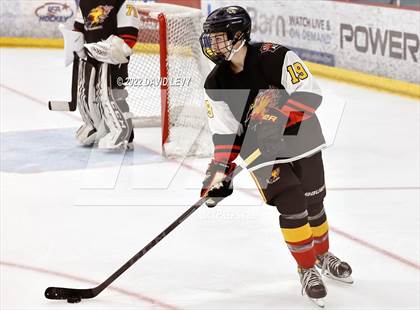Thumbnail 2 in D1 Chaparral @ D1 Campo Verde photogallery.