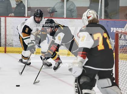 Thumbnail 1 in D1 Chaparral @ D1 Campo Verde photogallery.