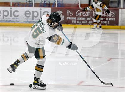 Thumbnail 2 in D1 Chaparral @ D1 Campo Verde photogallery.