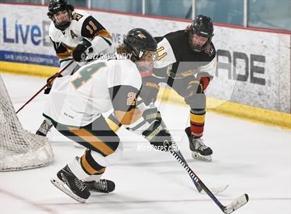 Thumbnail 2 in D1 Chaparral @ D1 Campo Verde photogallery.