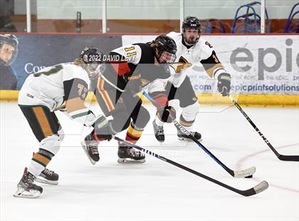 Thumbnail 1 in D1 Chaparral @ D1 Campo Verde photogallery.