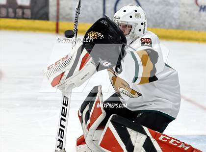 Thumbnail 2 in D1 Chaparral @ D1 Campo Verde photogallery.