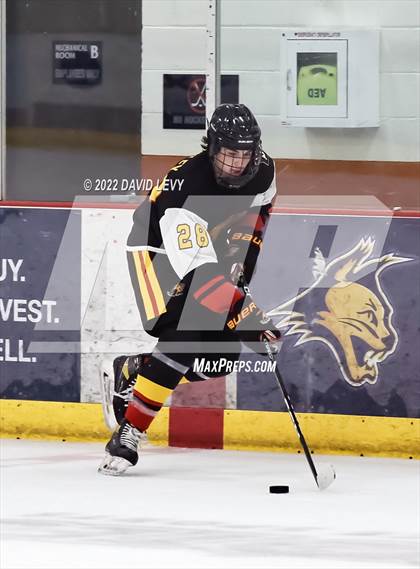 Thumbnail 1 in D1 Chaparral @ D1 Campo Verde photogallery.