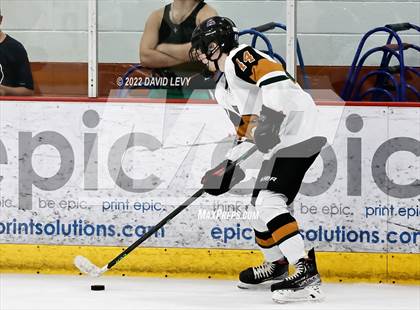 Thumbnail 1 in D1 Chaparral @ D1 Campo Verde photogallery.