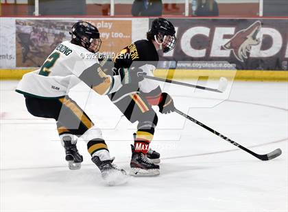 Thumbnail 3 in D1 Chaparral @ D1 Campo Verde photogallery.