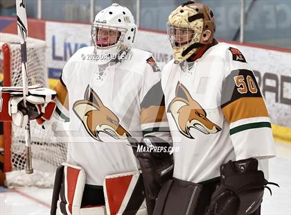 Thumbnail 3 in D1 Chaparral @ D1 Campo Verde photogallery.