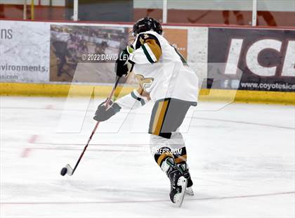 Thumbnail 2 in D1 Chaparral @ D1 Campo Verde photogallery.