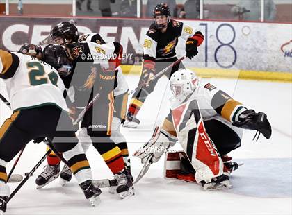 Thumbnail 2 in D1 Chaparral @ D1 Campo Verde photogallery.