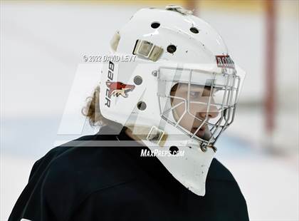Thumbnail 3 in D1 Chaparral @ D1 Campo Verde photogallery.