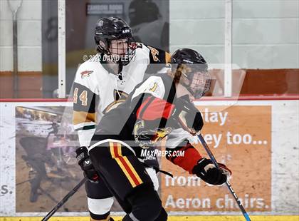 Thumbnail 3 in D1 Chaparral @ D1 Campo Verde photogallery.