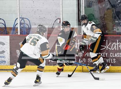 Thumbnail 2 in D1 Chaparral @ D1 Campo Verde photogallery.