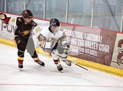 Thumbnail 3 in D1 Chaparral @ D1 Campo Verde photogallery.