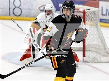 Thumbnail 3 in D1 Chaparral @ D1 Campo Verde photogallery.