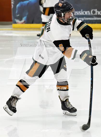 Thumbnail 1 in D1 Chaparral @ D1 Campo Verde photogallery.