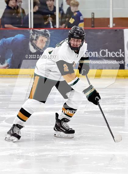 Thumbnail 2 in D1 Chaparral @ D1 Campo Verde photogallery.