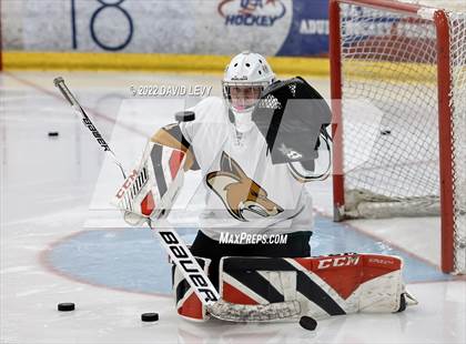 Thumbnail 2 in D1 Chaparral @ D1 Campo Verde photogallery.