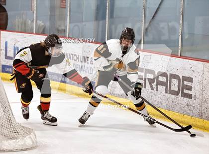 Thumbnail 1 in D1 Chaparral @ D1 Campo Verde photogallery.