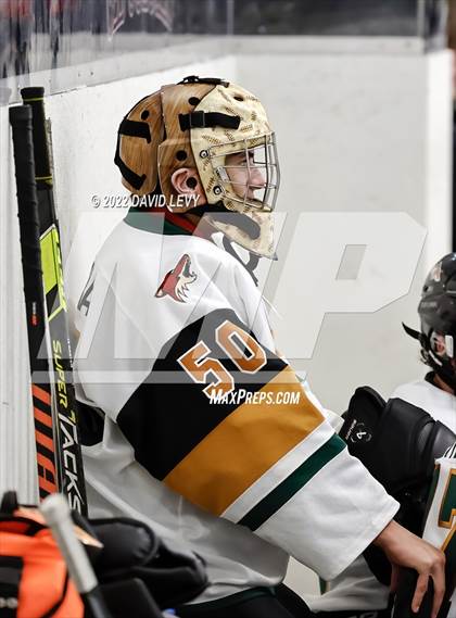 Thumbnail 2 in D1 Chaparral @ D1 Campo Verde photogallery.