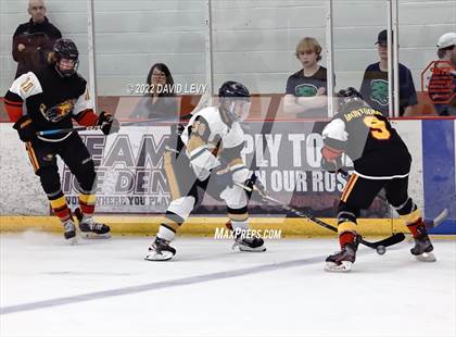Thumbnail 1 in D1 Chaparral @ D1 Campo Verde photogallery.