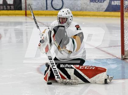 Thumbnail 1 in D1 Chaparral @ D1 Campo Verde photogallery.