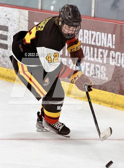 Thumbnail 3 in D1 Chaparral @ D1 Campo Verde photogallery.