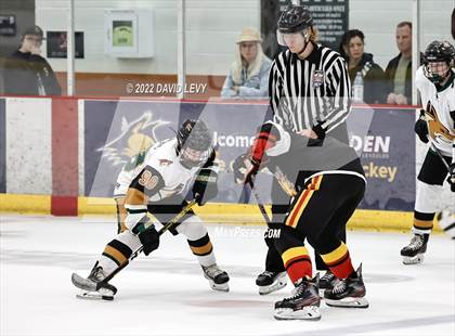 Thumbnail 3 in D1 Chaparral @ D1 Campo Verde photogallery.