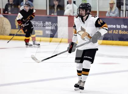 Thumbnail 3 in D1 Chaparral @ D1 Campo Verde photogallery.