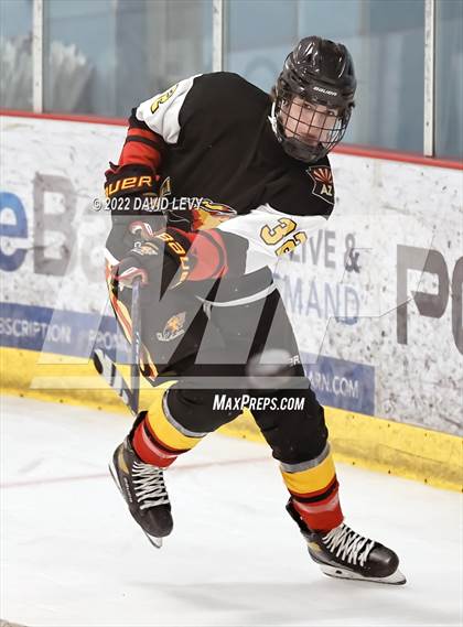 Thumbnail 1 in D1 Chaparral @ D1 Campo Verde photogallery.