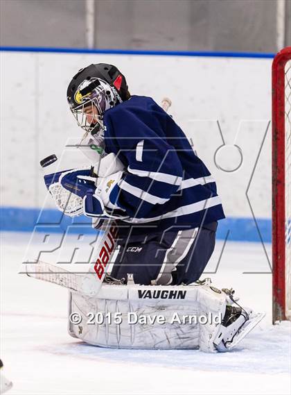 Thumbnail 3 in Framingham @ Dedham photogallery.