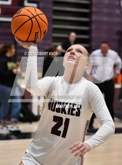 Thumbnail 2 in Basha @ Hamilton photogallery.