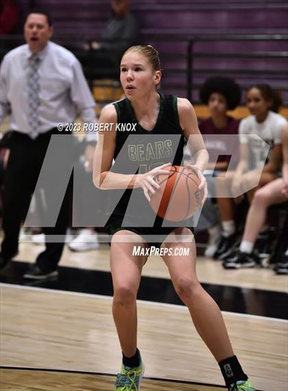 Thumbnail 3 in Basha @ Hamilton photogallery.