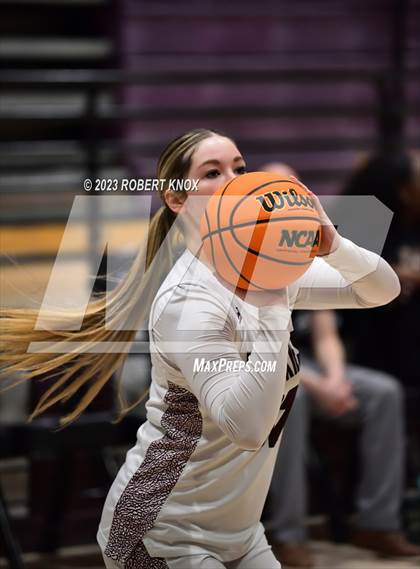 Thumbnail 2 in Basha @ Hamilton photogallery.
