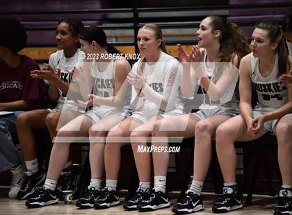Thumbnail 3 in Basha @ Hamilton photogallery.