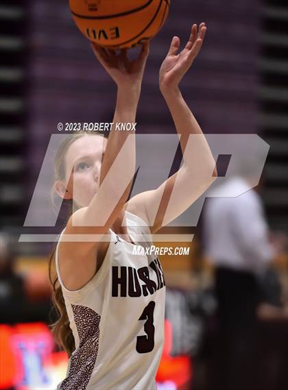 Thumbnail 3 in Basha @ Hamilton photogallery.