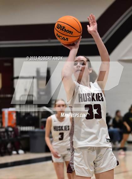 Thumbnail 3 in Basha @ Hamilton photogallery.