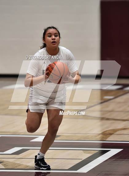 Thumbnail 3 in Basha @ Hamilton photogallery.