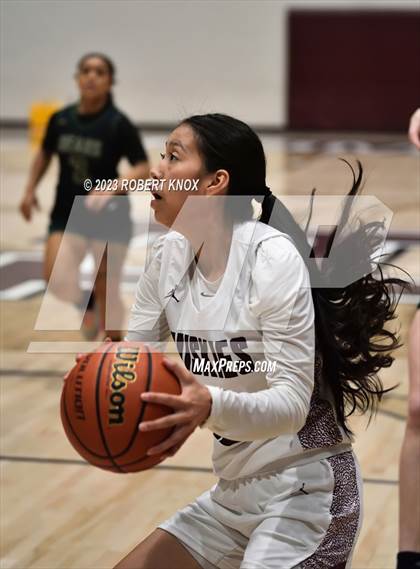 Thumbnail 1 in Basha @ Hamilton photogallery.