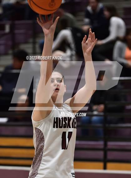 Thumbnail 2 in Basha @ Hamilton photogallery.