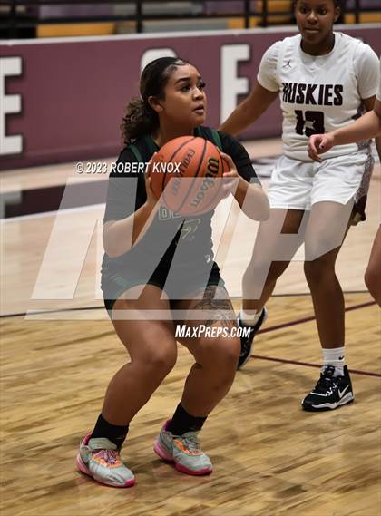 Thumbnail 1 in Basha @ Hamilton photogallery.