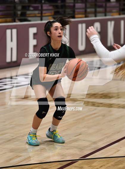 Thumbnail 1 in Basha @ Hamilton photogallery.