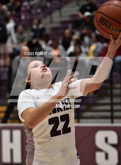 Thumbnail 1 in Basha @ Hamilton photogallery.