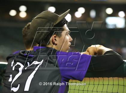 Thumbnail 1 in Woodcreek @ Franklin (@ Raley field) photogallery.