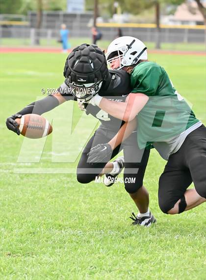 Thumbnail 2 in Cactus vs. Mountain Ridge (Scrimmage) photogallery.