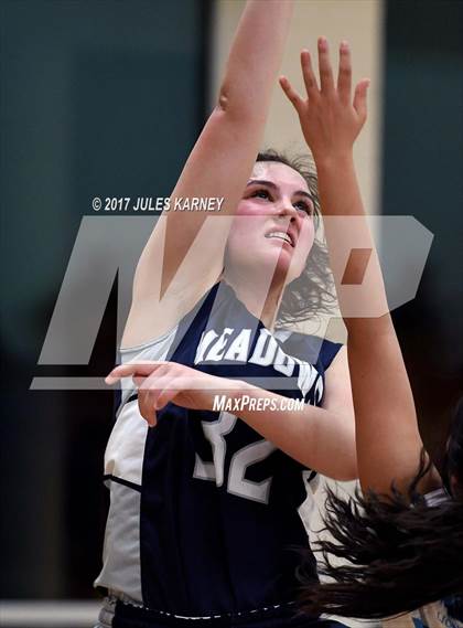 Thumbnail 1 in Adelson vs. Meadows photogallery.
