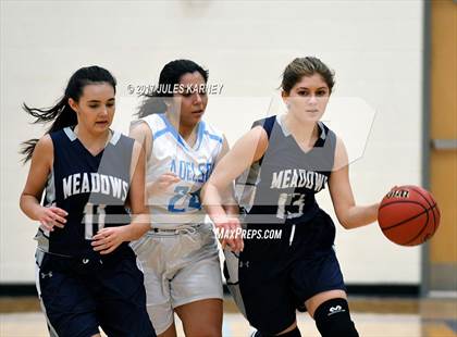 Thumbnail 2 in Adelson vs. Meadows photogallery.